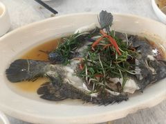 清蒸石斑鱼-众味海鲜大排档·活海鲜·潮汕味(南澳店)