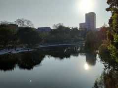 -金砂公园