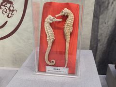 -北京中医药大学-中医药博物馆
