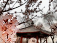 -颐和园