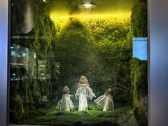 -芸山季·云南野生菌火锅(宝能环球汇店)