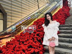 -万科生活广场(东莞松山湖店)