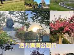 -白石龙音乐公园