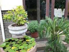 -中国蓝印花布馆