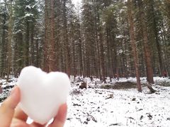 -硗碛藏寨·神木垒景区