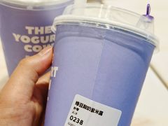 -一只酸奶牛(群光店)