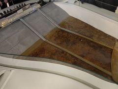 -白鹤梁水下博物馆