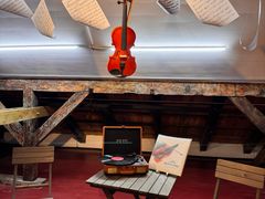 -树懒黑胶唱片店(中山路店)