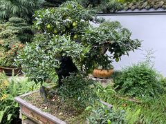 -成都杜甫草堂博物馆