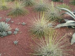 -南通洲际绿博园