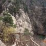 -天马岛度假区