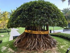 -海南清水湾莱佛士酒店