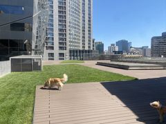 -百好乐宠物友好餐厅(朝外大街店)