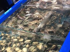 -青岛蓝海大饭店·爱琴海自助餐厅(崂山店)