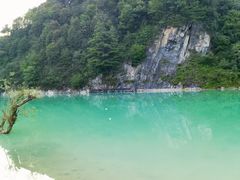 -狮子沟牧场