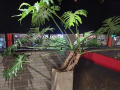 -胡大饭馆 24h(簋街总店)
