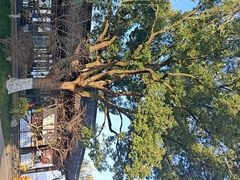 -柳莺湖上·湖景餐厅·江南菜(西湖店)