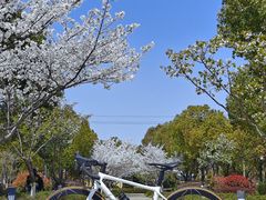 -西山漾湿地公园