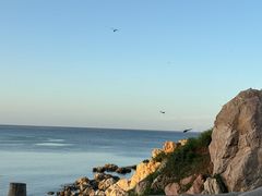 -养马岛旅游度假区