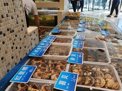 -双井轩(双井店)