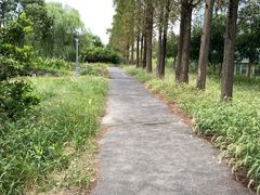 -前小桔亲子创意农场·草莓采摘·露营烧烤