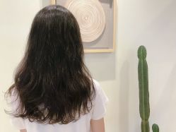 -涩谷· Hair Salon