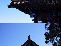 -北京鹫峰国家森林公园