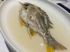 姜葱蒸黄脚立-花城苑广府菜(侨鑫店)