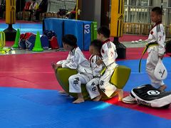 -陈中跆拳道(中关村馆)