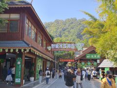 -野象谷景区