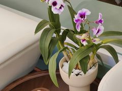 -南堂馆·新川菜(春熙路店)