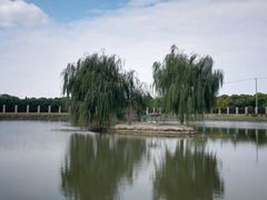 -明珠湖天鹅苑·农家菜馆