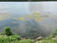 -长白岛森林公园