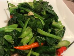 清炒芥蓝-Daddy Nimman Chiang Mai