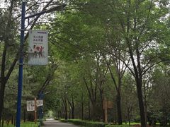 -森林公园(尖草坪区)