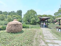 -沙家浜风景区