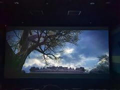 -新影联·华谊兄弟影院(望京店)