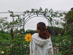 -三圣花乡旅游区