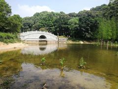 -广州市帽峰山景区