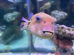 -长鹿旅游休博园