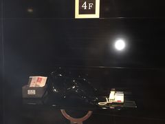 -常州环球恐龙城维景国际大酒店