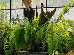 -野蔓果·山野菜(西湖景区·龙井茶田店)