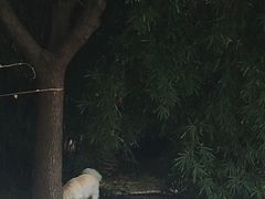 -沪东工人文化宫