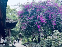 -成都杜甫草堂博物馆