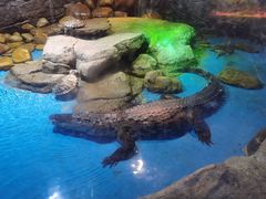 -多彩贵州城极地海洋世界