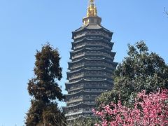 -红梅公园