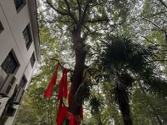 -敬亭山风景名胜区