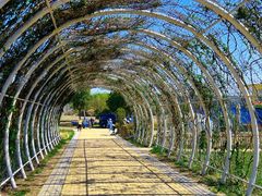 -同里国家湿地公园