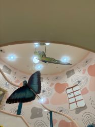 -奈尔宝·儿童乐园·亲子餐厅(苏州大悦城店)