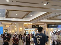 -澳门威尼斯人综合度假区